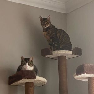 Meet your Posher, Martin